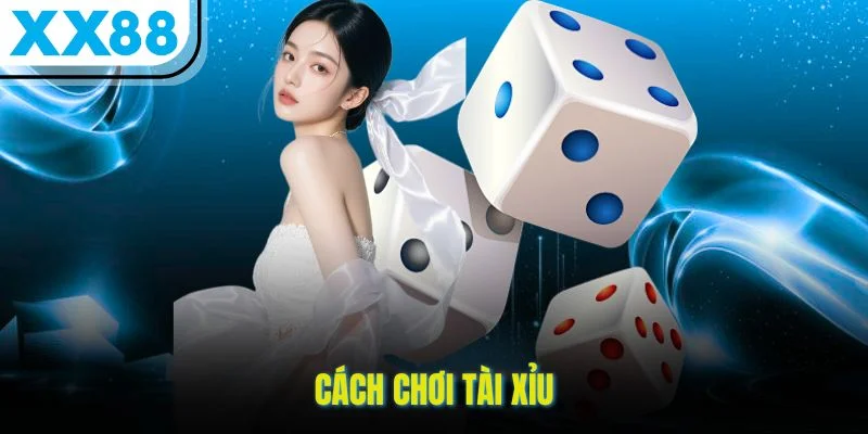 Cách Chơi Tài Xỉu Thắng Lớn Với Chiến Lược Cao Thủ Tại XX88